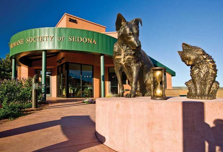 "Heart of the Hound & Soul of the Cat/"TIME" a Monumental Bronze Dog & Cat Sculpture by James Muir Bronze Allegorical Sculptor-Artist