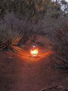 Lanterns Along the Path, a book by James Muir